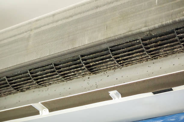Best HVAC Duct Inspection Services  in Camp Point, IL