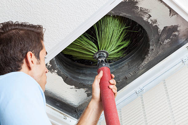 Best Professional Duct Cleaning Services  in Camp Point, IL